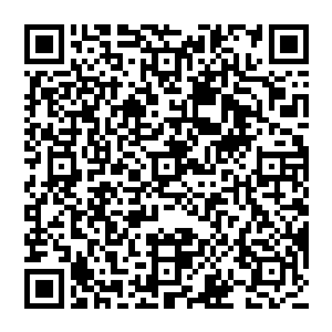 不用猜方炎也知道母亲是在说童言无忌让千叶兵部不要和方炎一般见识保佑他健健康康之类的话二维码生成