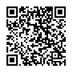 不用看贝海猜都能猜到俩小家伙是在喂着两只小乌龟二维码生成