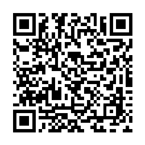不用说都是一些贪凉快的动物最后生生的死在了那里二维码生成