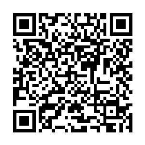 不用这么一副好像饿了几十天的样子看着我的手吧二维码生成