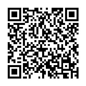 不用这么大年纪坐飞机飞圣约翰了直接坐车到格洛斯特来就行了二维码生成