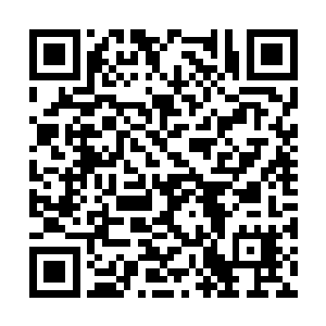 不由在脑海中紧张的翻找着传记小说中的类似情节二维码生成