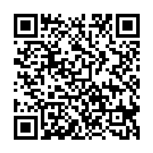 不由很是好奇为何那只白鹤会愿意驮了那位国教学院少年过去二维码生成