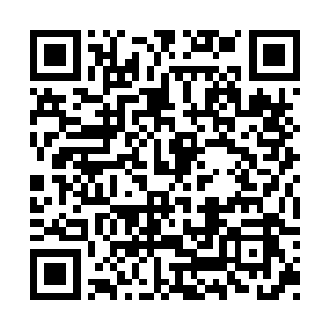 不由得就想了起她们姐妹三个人昨天说过的事情二维码生成