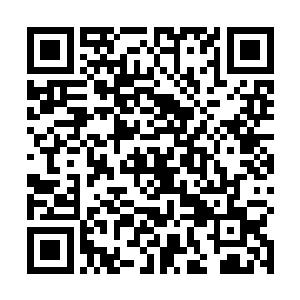 不由得气恼地一口气剥了四五颗炒栗子一把塞进了嘴里二维码生成