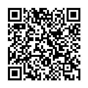 不由心里滴血……这可都是自己祖辈积攒几世的家底二维码生成