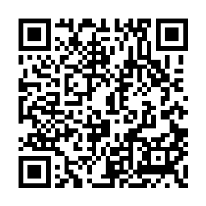 不由暗自可惜……这种风格是十分优秀土德种子二维码生成