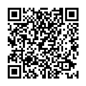 不由蛮感兴趣的从轿子窗帘伸出小手叫住了随行的侍女翠儿二维码生成