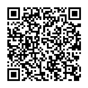 不看这本书你在精英文化圈子里根本就插不上的话要掉队的错觉……二维码生成