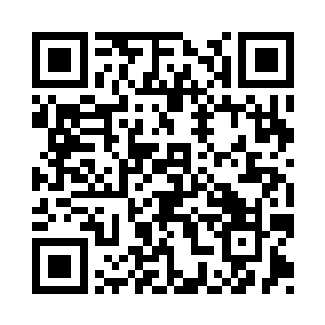 不着调这个第一名要不要给这个白芷璃二维码生成