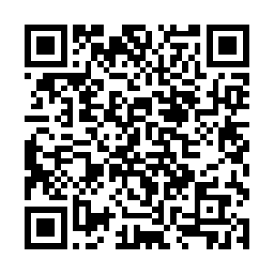 不知不觉中走到了那天凌晨和秦岚一起来过的大排档二维码生成