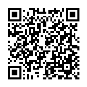 不知不觉地就忘记了许浩歌成立这支队伍的目的二维码生成