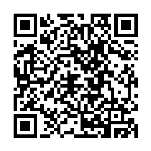 不知不觉间俩个中路的补刀已经拉开了近50刀的差距二维码生成