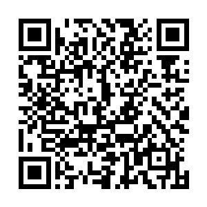 不知为什么五沟会残忍的将一个监生活活的扔进了这个水塘二维码生成