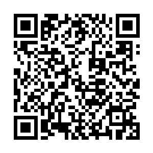 不知什么时候才能找回小乔呢…目前唯一的线索也是他了二维码生成