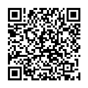不知什么时候靠近了这边的多力罗汉闻言淡淡瞥了眼苗毅二维码生成