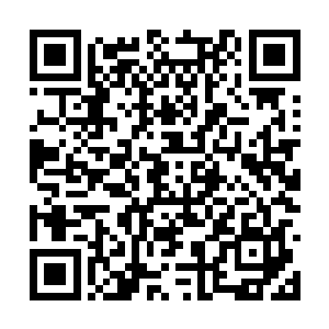 不知从何时已经握住一柄通体泛着淡淡蓝芒的长剑二维码生成