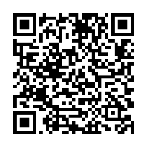 不知从哪里来的一群妖兽向那支魔族小队发起了攻击二维码生成