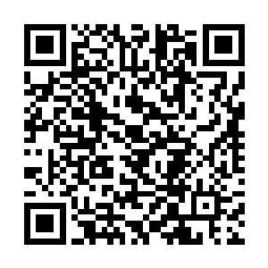 不知剑尘小友可有什么真凭实据來证明圣弃界的存在二维码生成