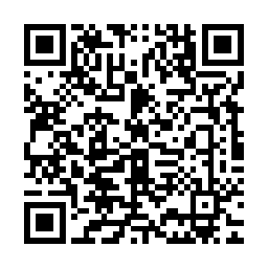 不知可否有幸与仙女一同经历这场火神门一年一度的拍卖大典啊二维码生成