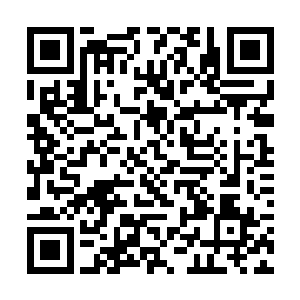 不知夫人给我的丫鬟出了什么岔子竟使得夫人亲自来二维码生成