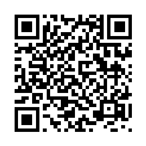 不知姑娘是山茶姑娘还是菡萏姑娘二维码生成