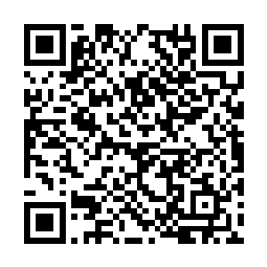 不知是因为太饿还是维持着被绑的动作而浑身僵硬二维码生成