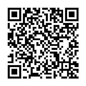 不知有多少it巨头想要挖走隐藏在诺亚环宇背后的电脑鬼才二维码生成