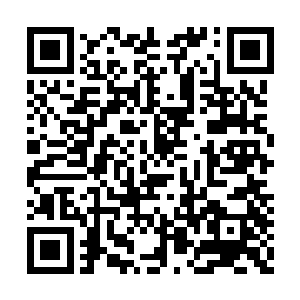 不知李稚儿师妹和殷化一执事长老这是为何而斗二维码生成