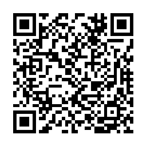 不知训斥了太乙界青龙七天域的七位界主多少次了二维码生成