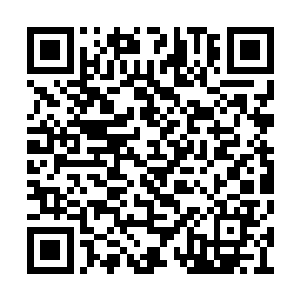 不知道……不过这个蓝地佣兵团我倒是有些印象二维码生成