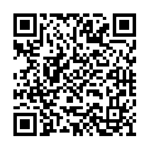 不知道……我能不能有幸见识一下江先生的手艺二维码生成