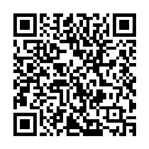 不知道为什么反倒更喜欢眼前这位比自己小了十来岁的大男孩二维码生成