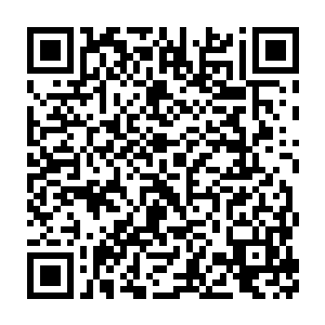 不知道为什么恶棍会跟色鬼看到姐一样那么高兴的就扑向那些虫子二维码生成