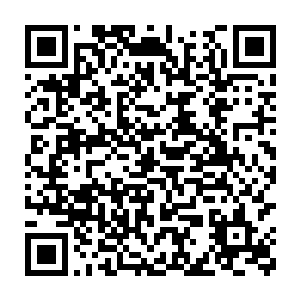 不知道为什么脑中浮现出那一晚在回燕峰下的湖畔旁给岚音烤鱼的情景二维码生成