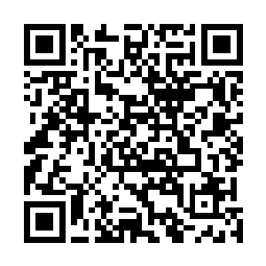 不知道为什么这一刻他的心中反而没有了那种惊恐的感觉二维码生成