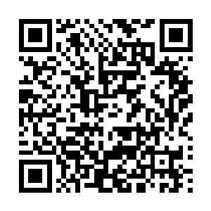 不知道为何在这种时候公子会提起风筝这种无关紧要的小事二维码生成