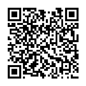 不知道为何那只头领蝠在带着小弟们去抢地盘之后二维码生成