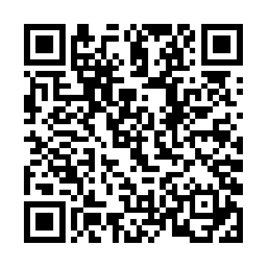 不知道什么人这么大胆竟然敢跑到我们天魔域来杀人二维码生成