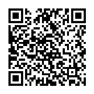 不知道什么时候过来的沈扬和墨无忧正蹲在地上查看二维码生成