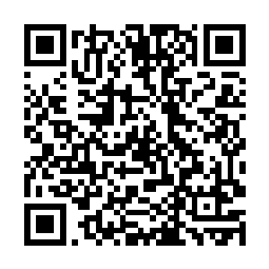 不知道今天来了琪琪大小姐会不会把我从楼上丢下去二维码生成