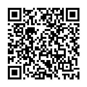 不知道从什么地方忽然冒出了这么多令人毛骨悚然的东西二维码生成