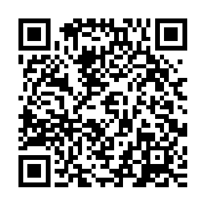不知道从什么地方拿出了一块布来缓缓的擦拭着烽彤剑的剑身二维码生成