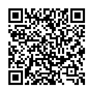 不知道从哪里冲出来一条狼狗就朝着两小孩咬去二维码生成