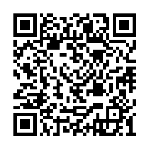 不知道他刚才面前的就是杀手界赫赫有名的魔皇二维码生成