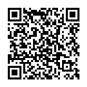 不知道他怎么就招惹了一个飞升修士在这里渡劫二维码生成