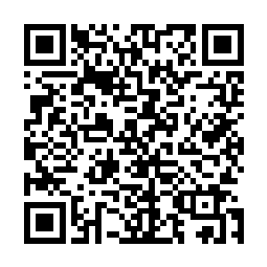 不知道他要是知道二十瓶酒下来成本就要二千万会作何感想二维码生成
