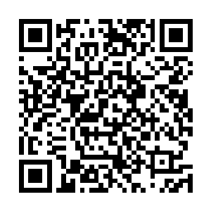 不知道令师……除了炼制培元丹可臻至丹云神丹级数之外二维码生成