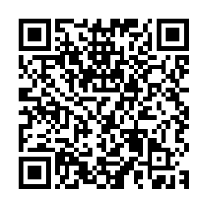 不知道作为主人的我有没有这个荣幸请你跳一支舞来纪念一下呢二维码生成