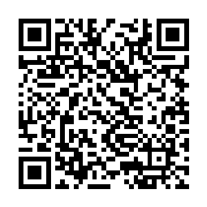 不知道你把我们带到这个地方来到底是想要干什么二维码生成
